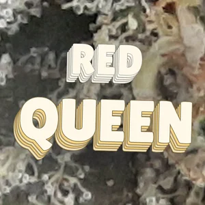 Red Queen Cannabis Strain