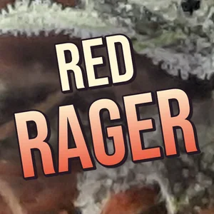 Red Rager Cannabis Strain