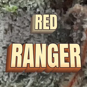 Red Ranger Cannabis Strain