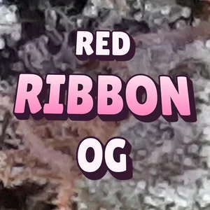 Red Ribbon OG Cannabis Strain