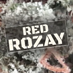 Red Rozay Cannabis Strain