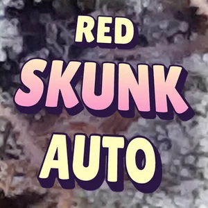 Red Skunk Auto Cannabis Strain