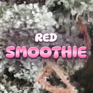 Red Smoothie Cannabis Strain