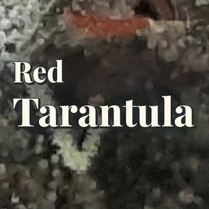Red Tarantula Cannabis Strain