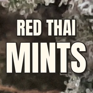 Red Thai Mints Cannabis Strain
