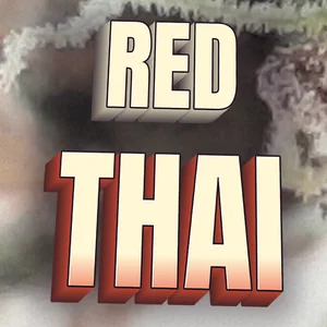 Red Thai Cannabis Strain