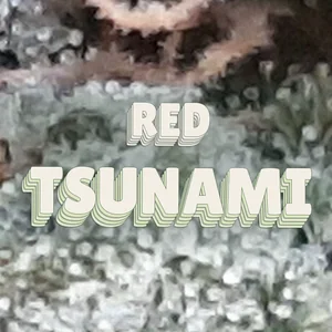 Red Tsunami Cannabis Strain
