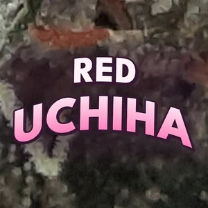 Red Uchiha Cannabis Strain