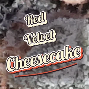 Red Velvet Cheesecake Cannabis Strain