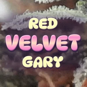 Red Velvet Gary Cannabis Strain