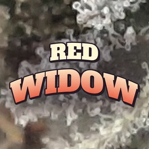 Red Widow Cannabis Strain