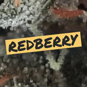 Redberry Cannabis Strain