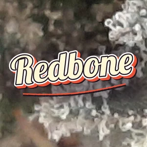 Redbone Cannabis Strain
