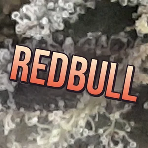 RedBull Cannabis Strain