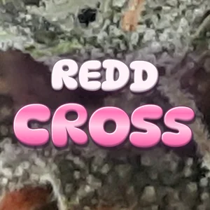 Redd Cross Cannabis Strain