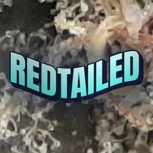 Redtailed Cannabis Strain