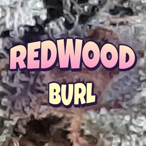 Redwood Burl Cannabis Strain