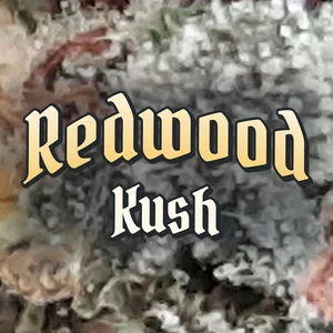 Redwood Kush Cannabis Strain