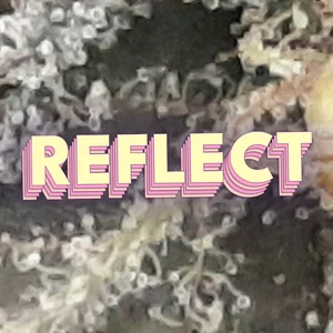 Reflect Cannabis Strain