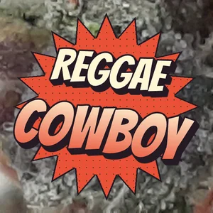 Reggae Cowboy Cannabis Strain