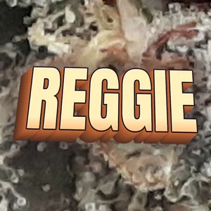 Reggie Cannabis Strain