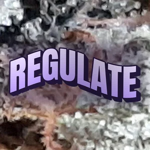 Regulate Cannabis Strain