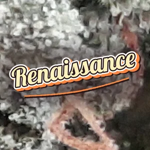 Renaissance Cannabis Strain