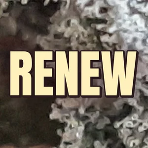 Renew Cannabis Strain