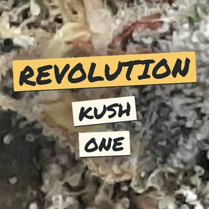 Revolution Kush One Cannabis Strain