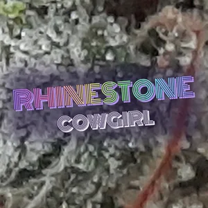 Rhinestone Cowgirl Cannabis Strain