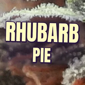 Rhubarb Pie Cannabis Strain