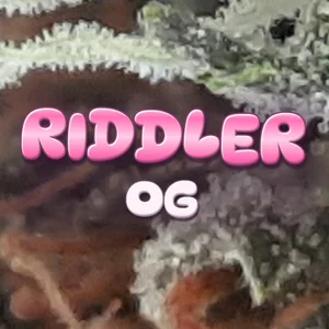 Riddler OG Cannabis Strain