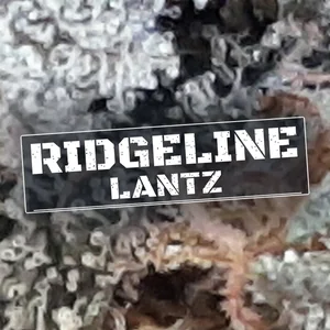 Ridgeline Lantz Cannabis Strain