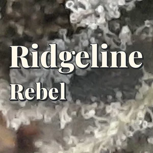 Ridgeline Rebel Cannabis Strain