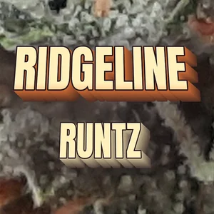 Ridgeline Runtz Cannabis Strain