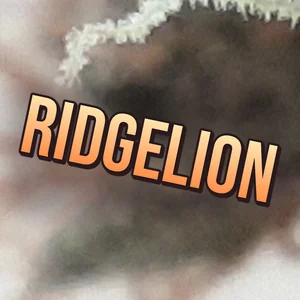 Ridgelion Cannabis Strain