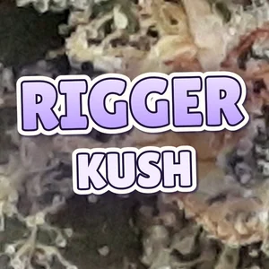 Rigger Kush Cannabis Strain