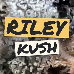 Riley Kush Cannabis Strain
