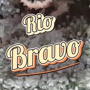 Rio Bravo Cannabis Strain