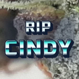 Rip Cindy Cannabis Strain