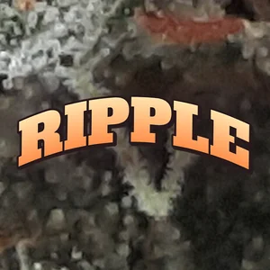 Ripple Cannabis Strain