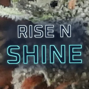 Rise N Shine Cannabis Strain
