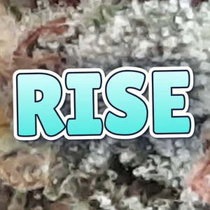 Rise Cannabis Strain