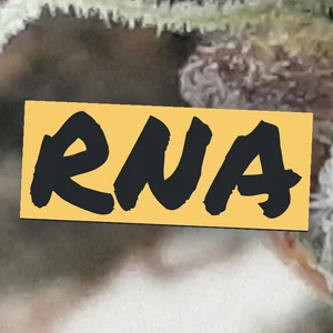 RNA Cannabis Strain
