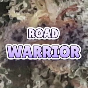 Road Warrior Cannabis Strain