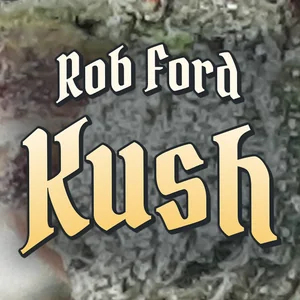 Rob Ford Kush Cannabis Strain