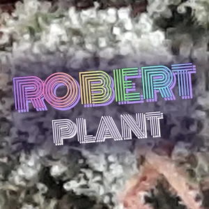 Robert Plant Cannabis Strain