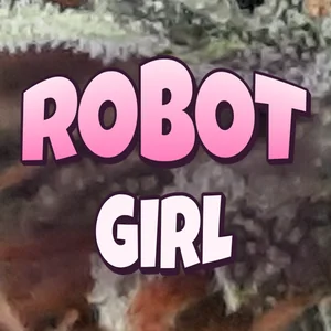 Robot Girl Cannabis Strain