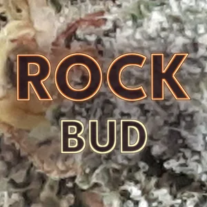 Rock Bud Cannabis Strain