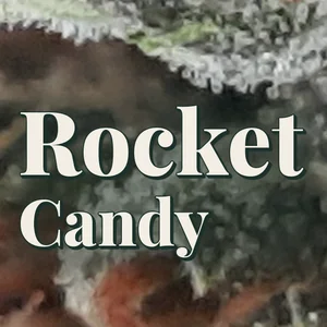 Rocket Candy Cannabis Strain